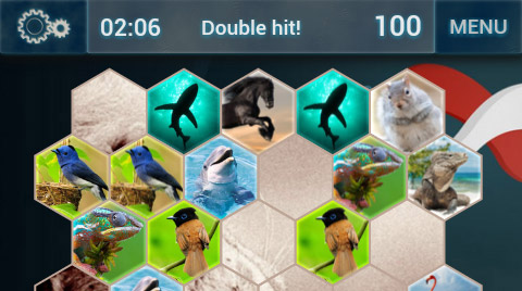 find the pair game